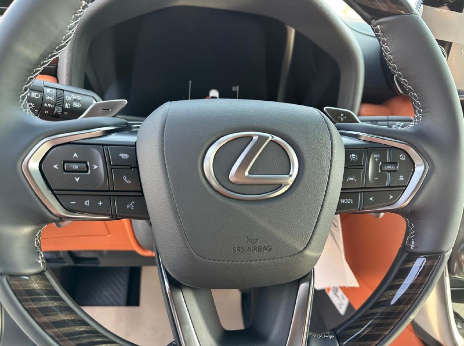 Lexus LX 600 2026 VIP thumb 19