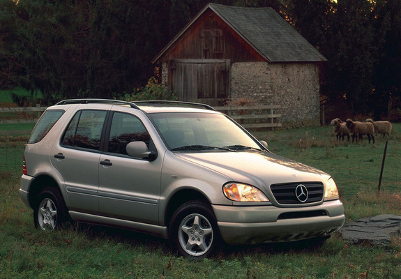 1 generation (W163)