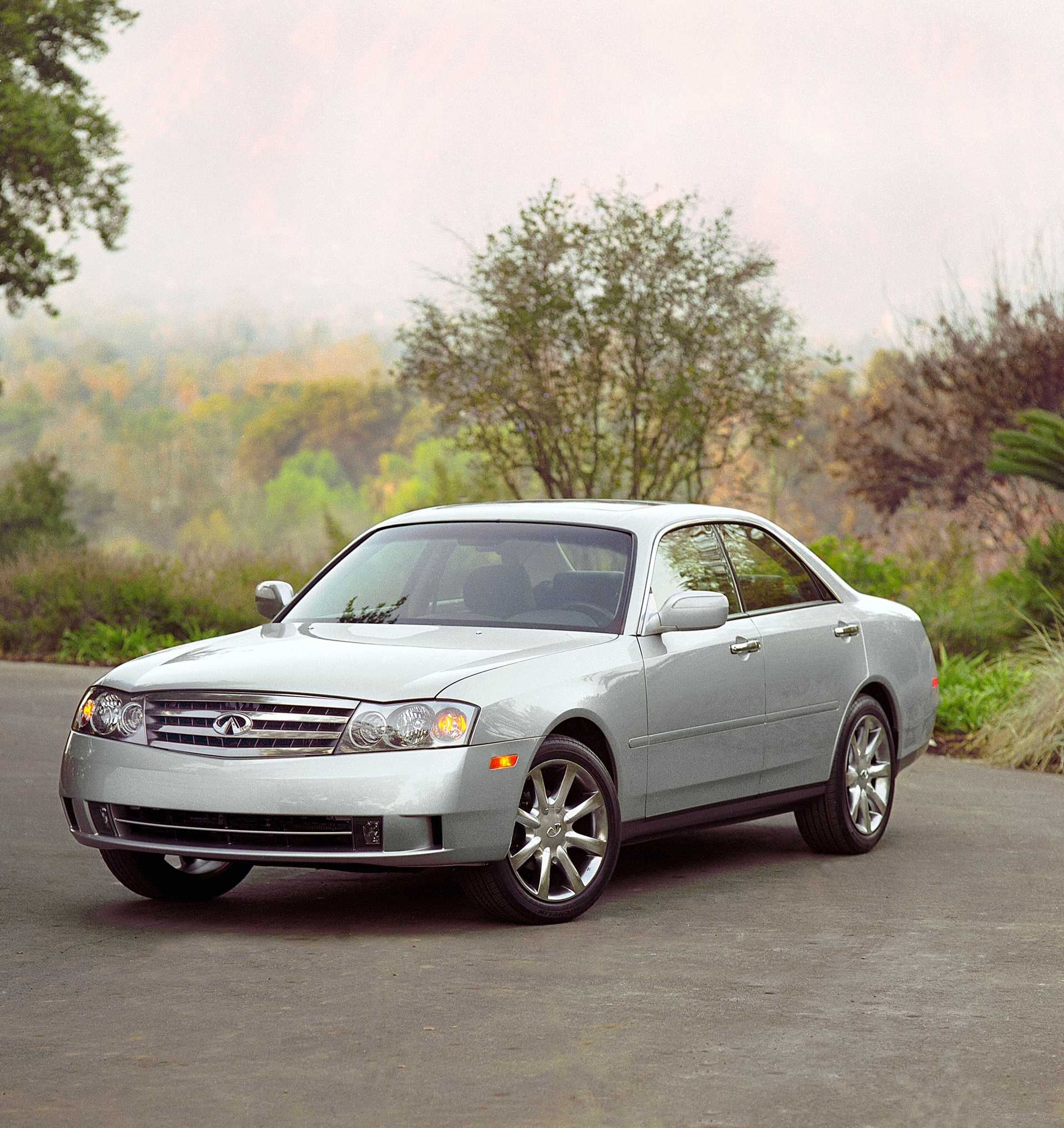 1 generation (Y34)