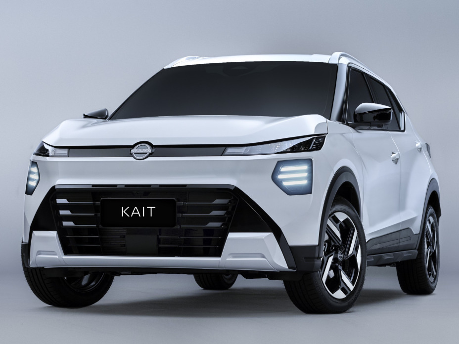 1 generation (P15)