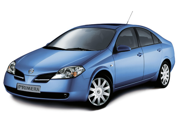 3 generation (P12)