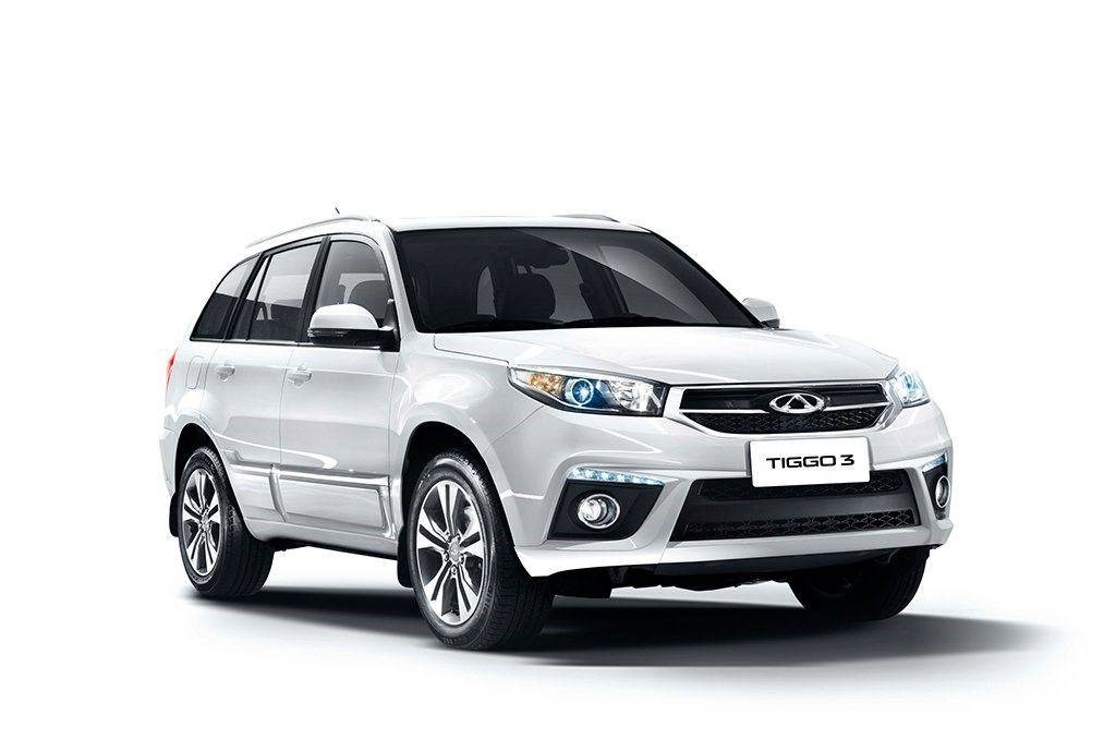 1 generation (T11)