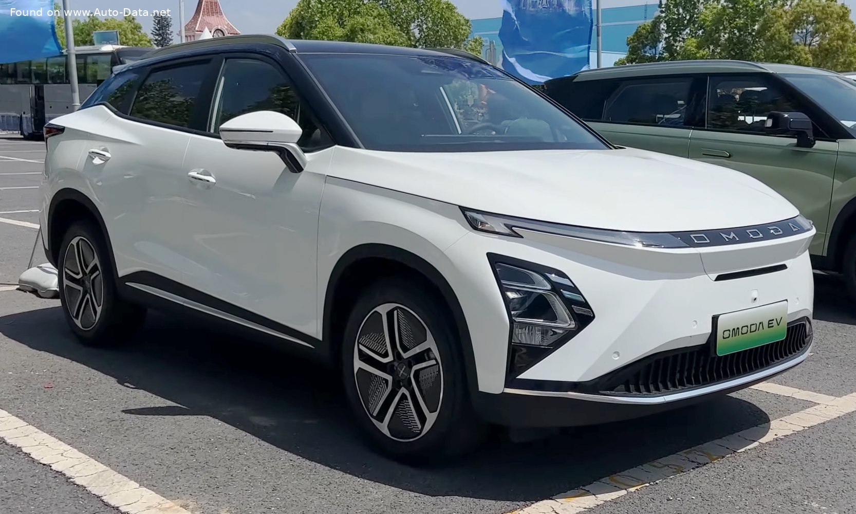 1 generation (T19C)