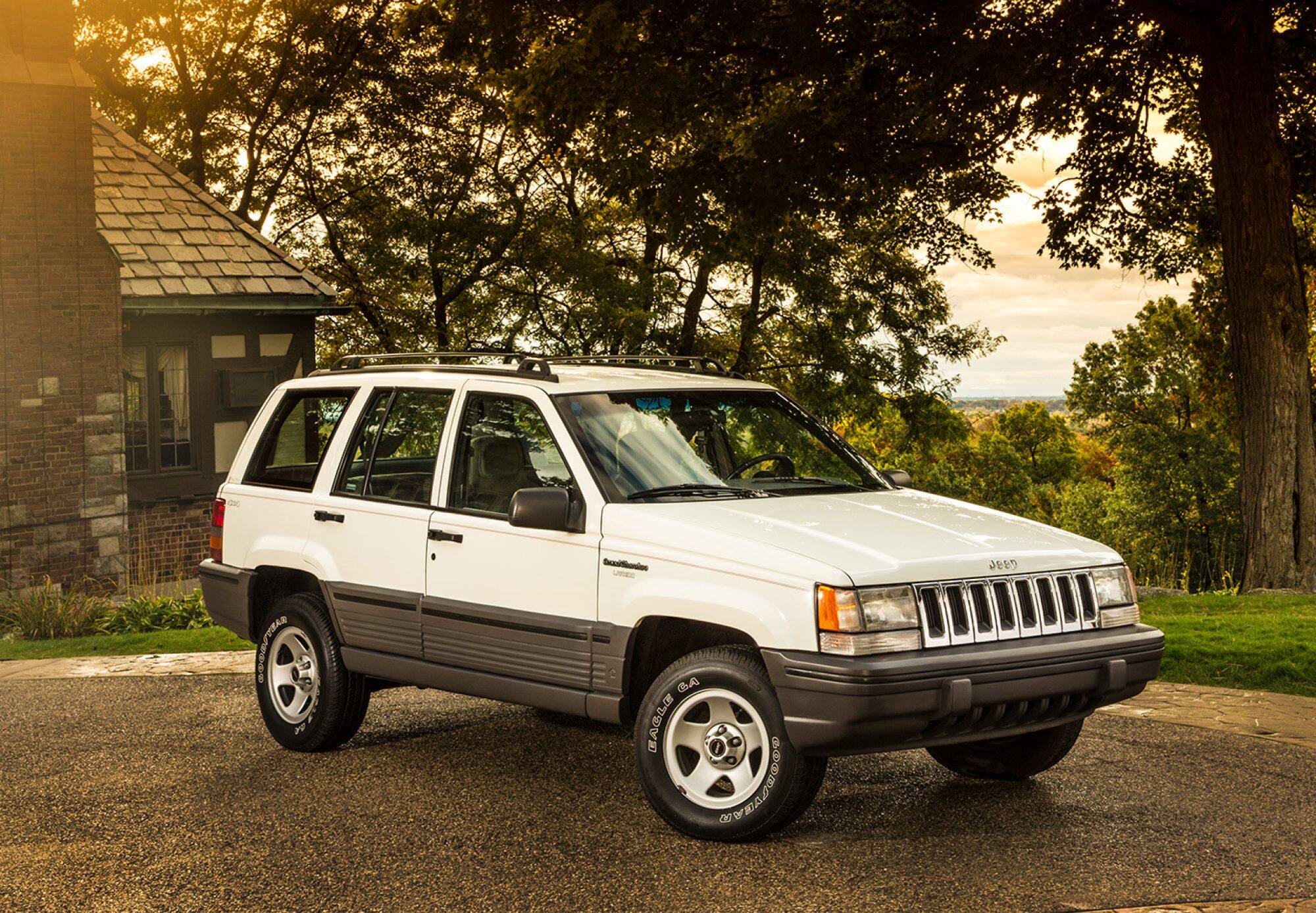 1 generation (ZJ)