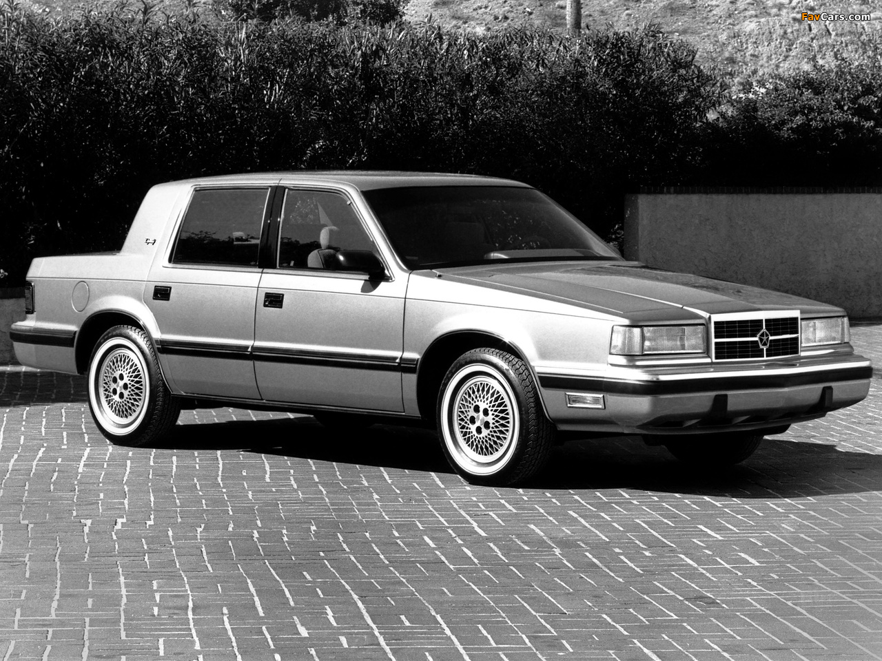 1 generation (C-body)